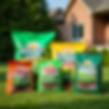 Different types of lawn fertilizers displayed in bags