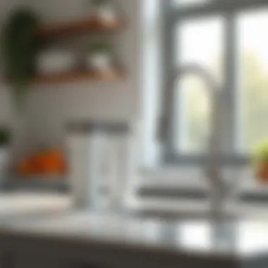 Stylish Water Filter in Kitchen An elegantly designed water filter installed in a modern kitchen