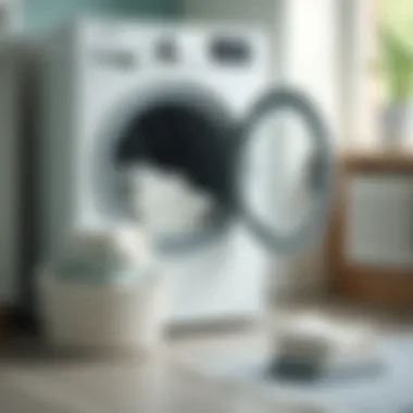 Clothes dryer with a fresh scent fabric softener