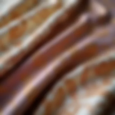 Detailed View of Tahari Fabric Patterns Close-up of luxurious Tahari fabric showcasing intricate patterns and textures