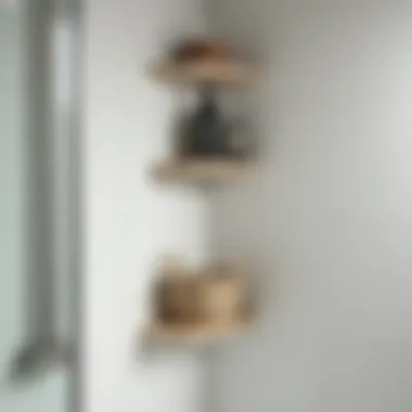 Minimalist shower corner organizer showcasing optimal space use