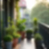 Elegant balcony with assorted plant containers showcasing diverse flora.