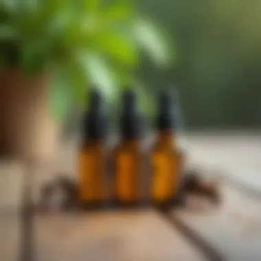 Essential oils known to deter mice