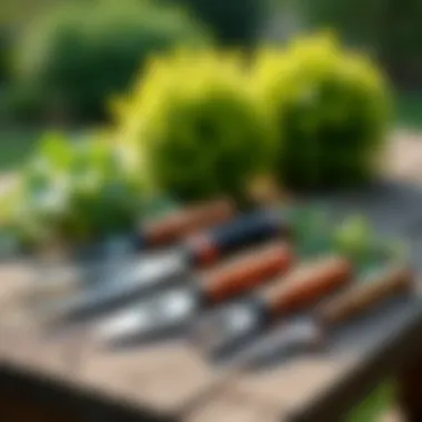 A variety of boxwood trimming tools displayed on a garden table