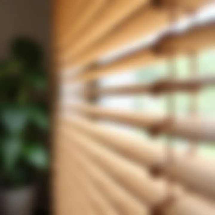 Close-up of eco-friendly bamboo blinds showcasing natural texture