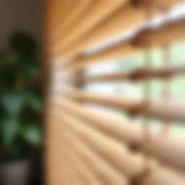 Eco-Friendly Bamboo Blinds Close-Up Close-up of eco-friendly bamboo blinds showcasing natural texture
