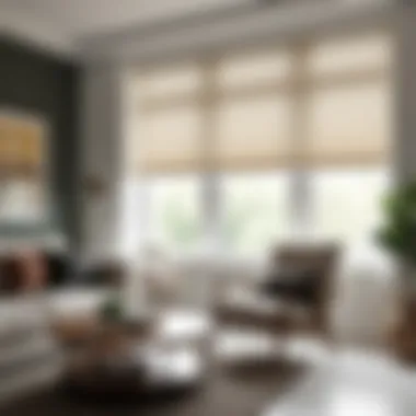 Stylish Roller Blinds in Modern Living Room Modern living room featuring stylish roller blinds that enhance the decor